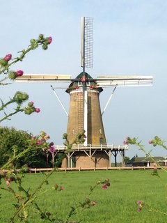 De Hollandse Molen, NEEDE